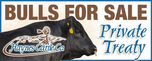 topeka livestock auction market report